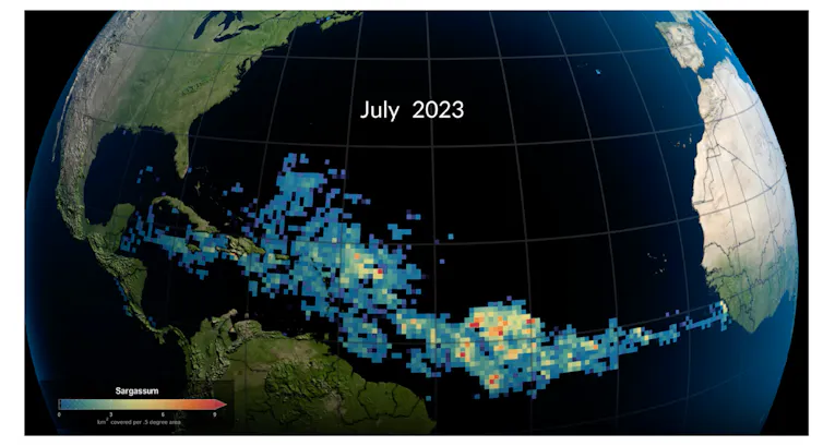 A satellite data image shows the belt stretching from the Gulf of Mexico, across the top of South America, to Africa.