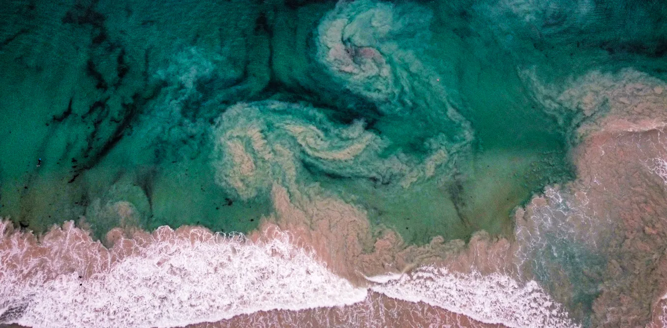 EnviroWireDaily — Can we alter ocean chemistry to absorb carbon? Here are the pros and cons