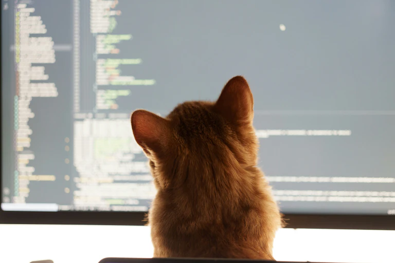 A ginger cat inspects computer code on a screen.
