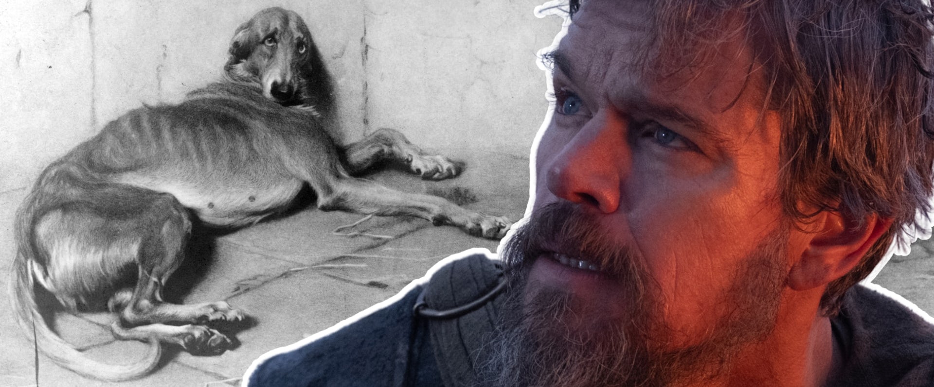 The dog who waited for Odysseus: Argos reflects the deep human-animal bonds of ancient Greece