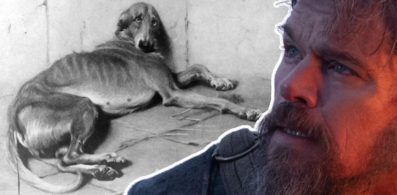 The dog who waited for Odysseus: Argos reflects the deep human-animal bonds of ancient Greece The dog who waited for Odysseus: Argos reflects the deep human-animal bonds of ancient Greece