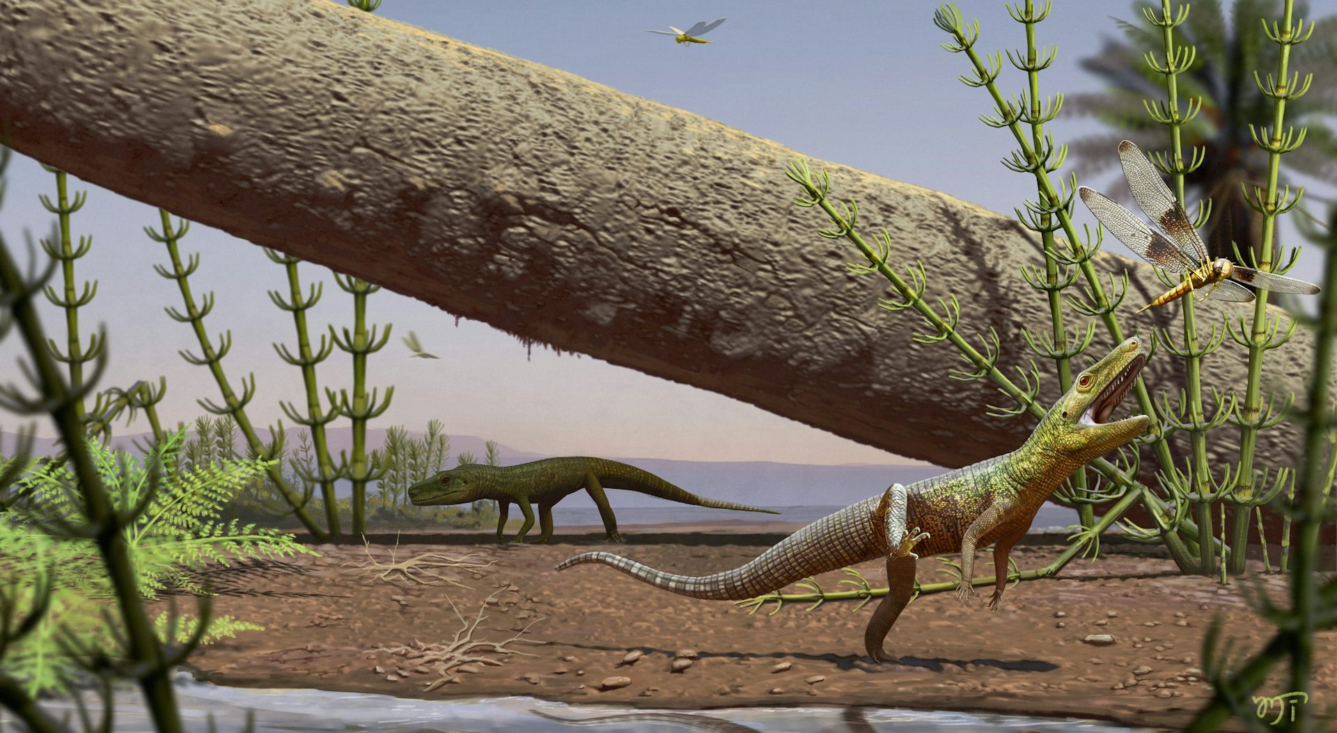 La ilustración muestra a Silescelida acristata rodeado de plantas y animales del Triásico Medio