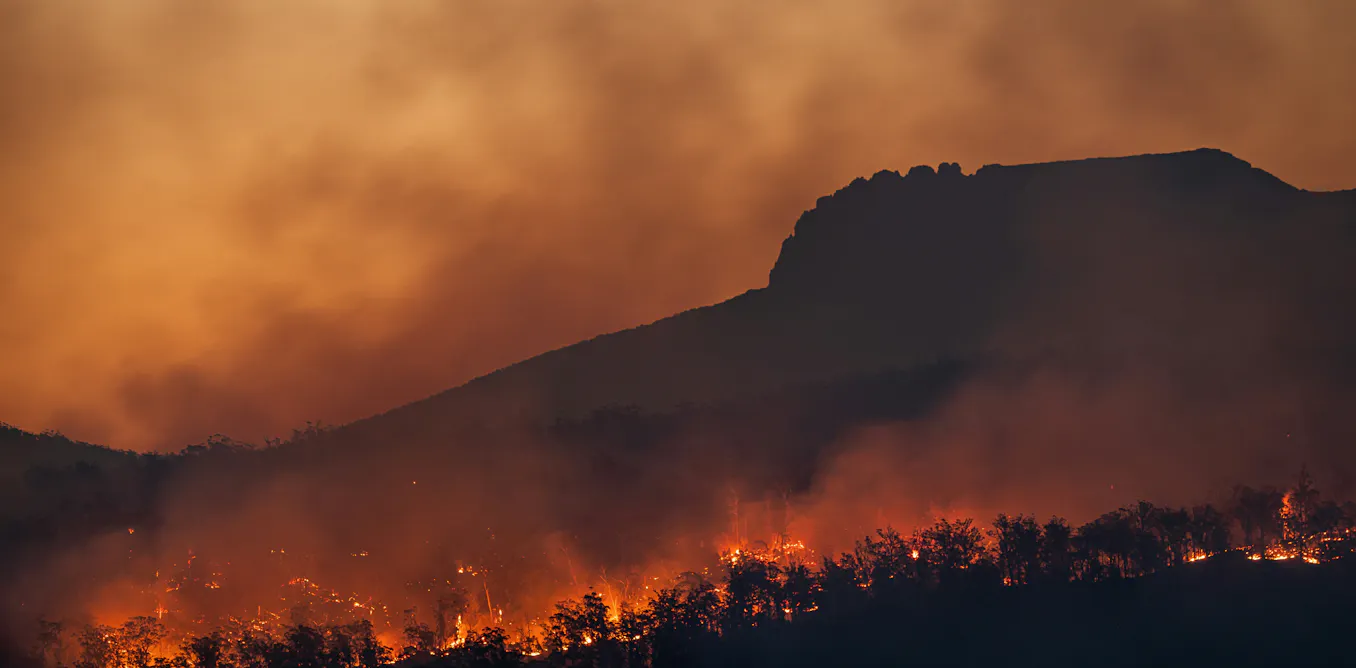 EnviroWireDaily — Wildfires: what can the UK and other nations learn from Australia’s world-leading fire response systems?
