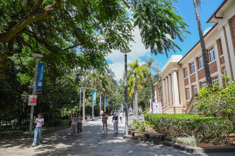 Students walk in the grounds of a university campus. There are tall trees and brick buildings.