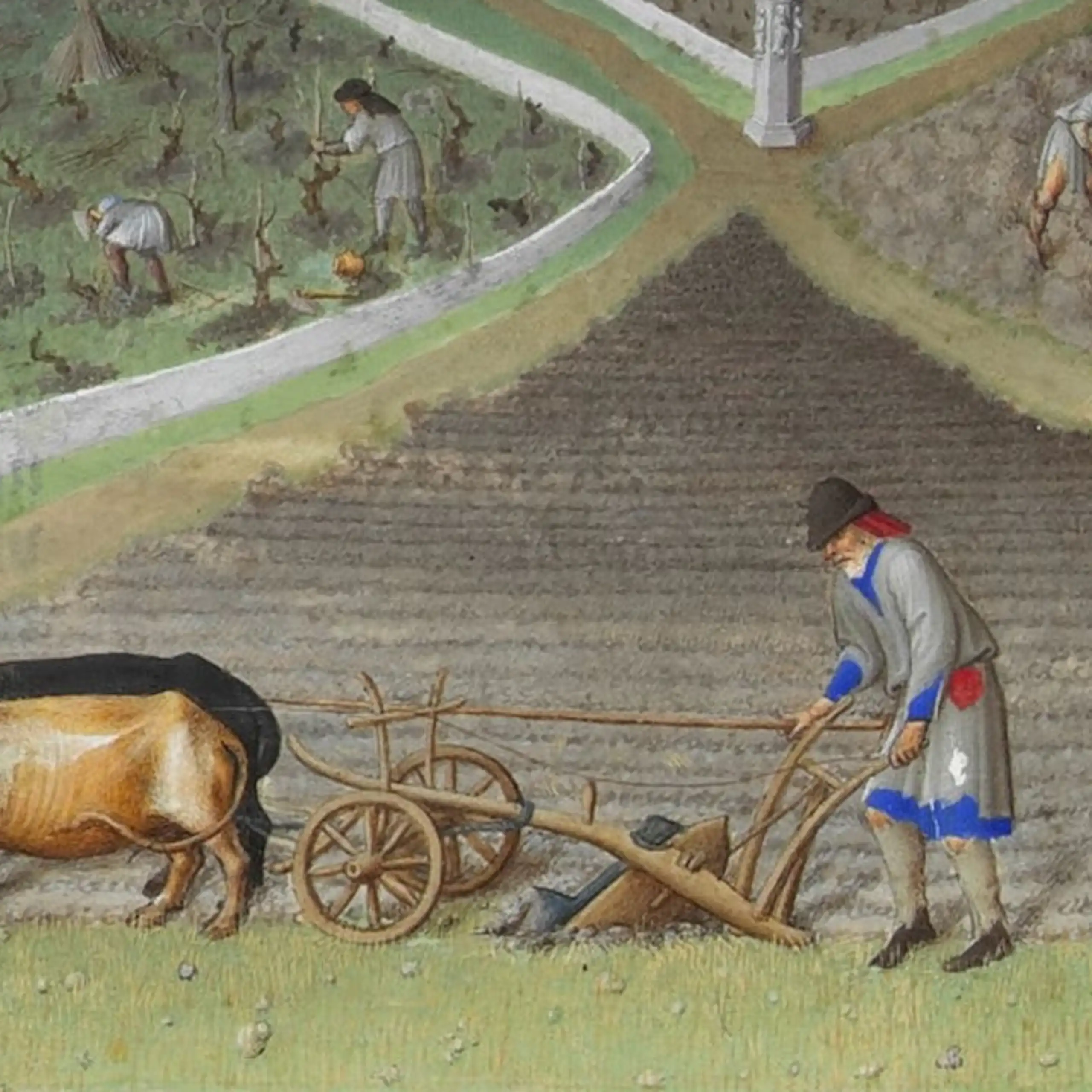 Un champ au Moyen Âge
