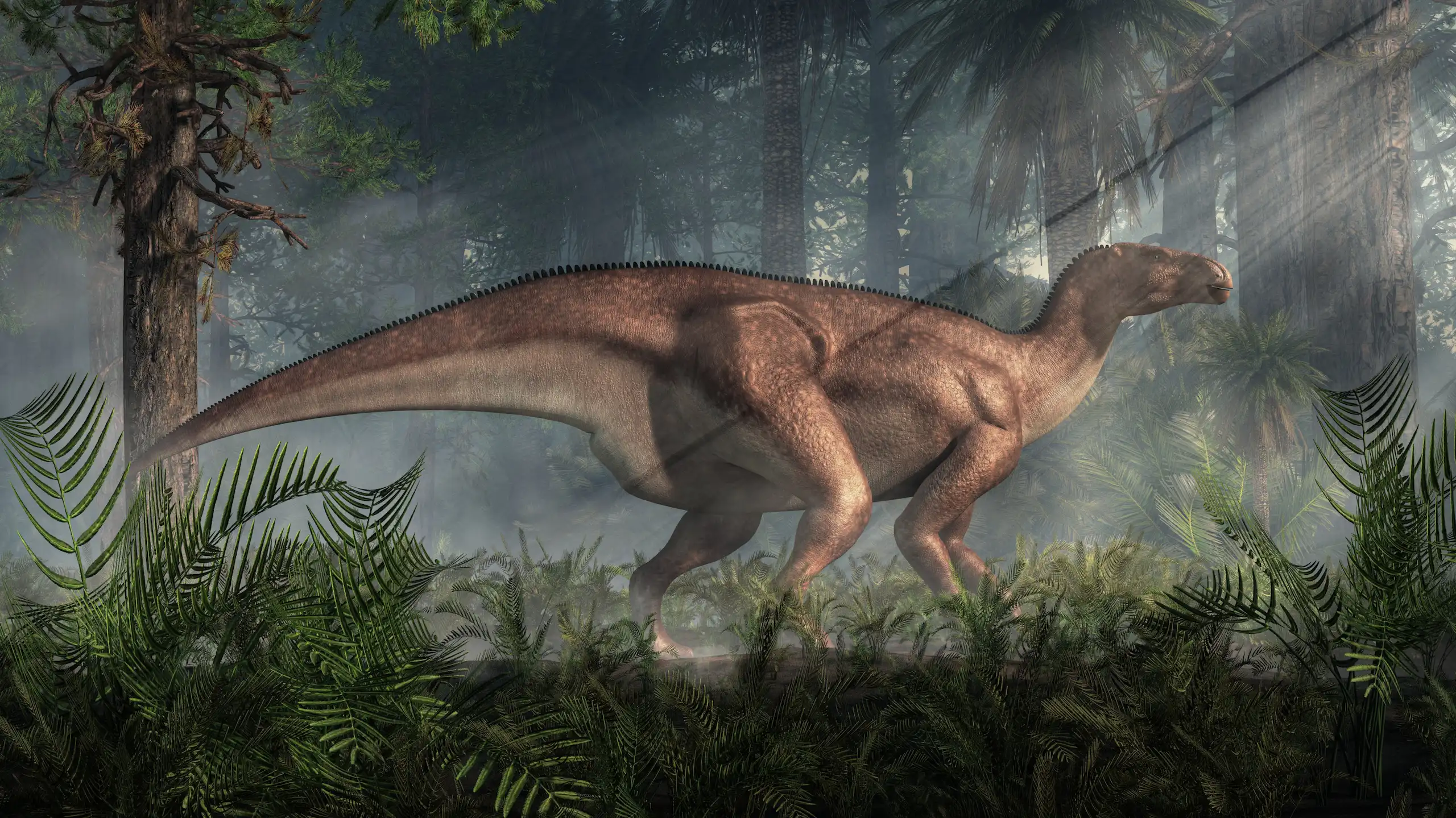 An iguanodon stands in a dense prehistoric forest.