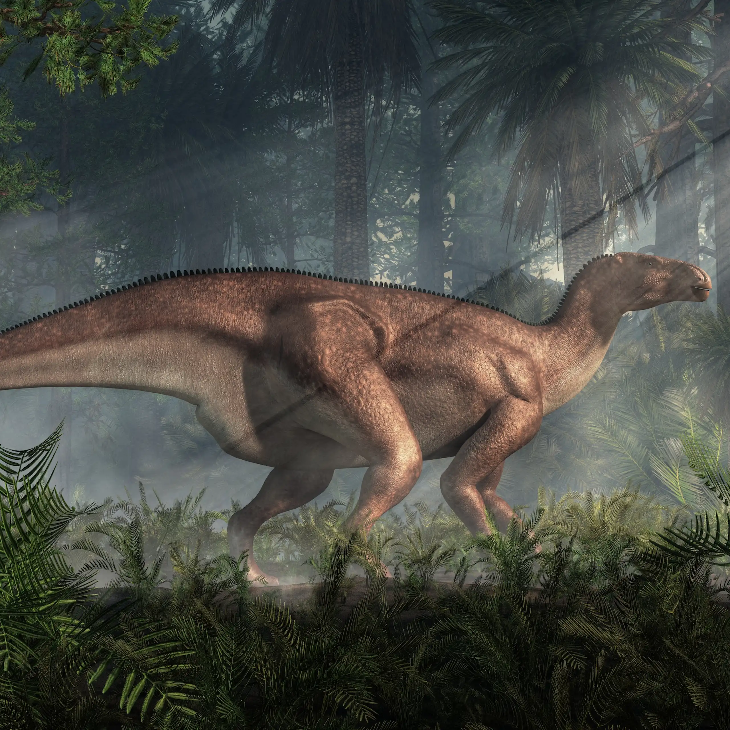 An iguanodon stands in a dense prehistoric forest.