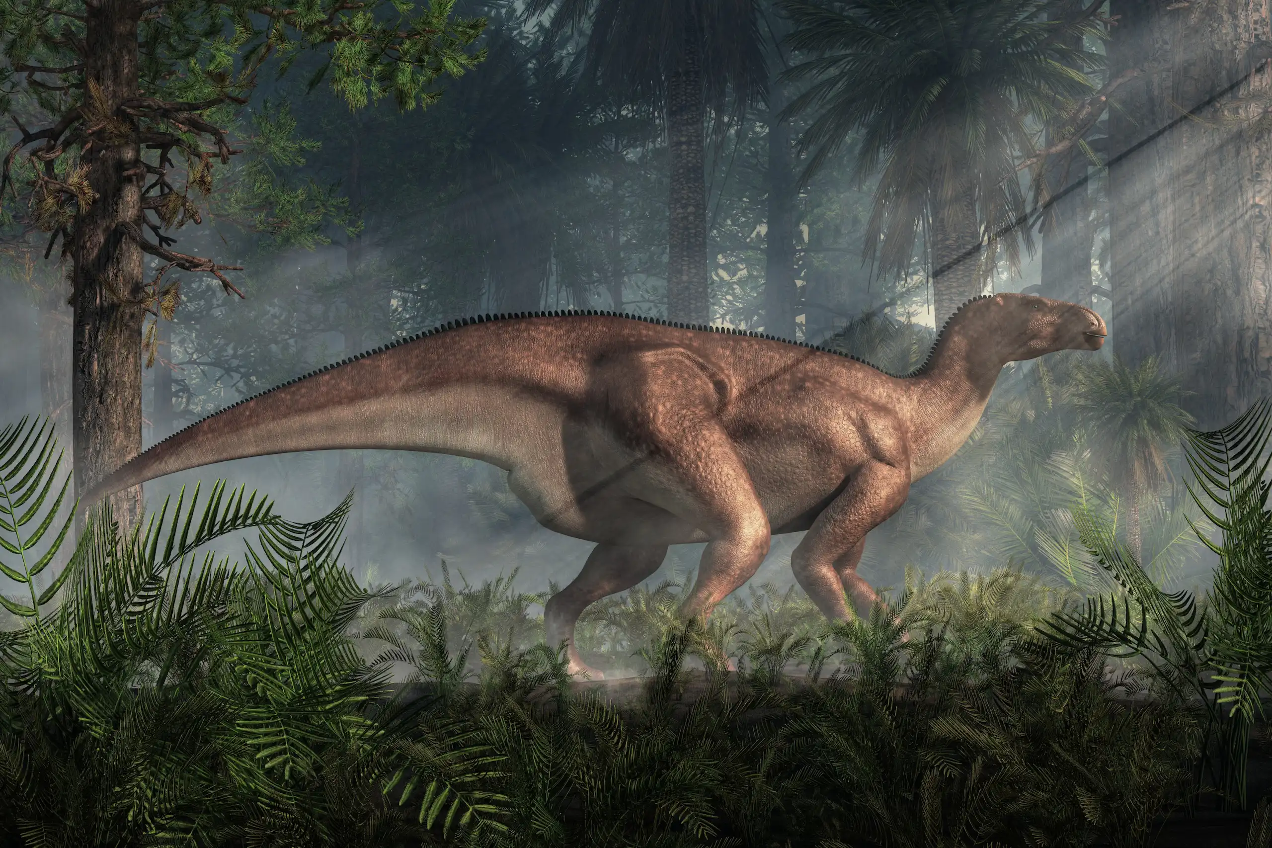 An iguanodon stands in a dense prehistoric forest.