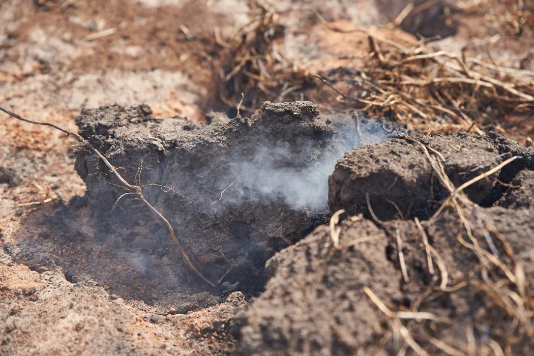 Fire can destroy peatlands. But in Australia, it can also help protect them