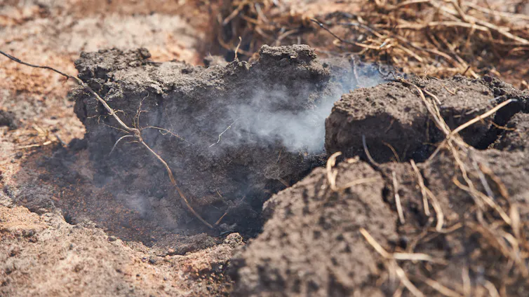 Smoke rises from a patch of burning peat.