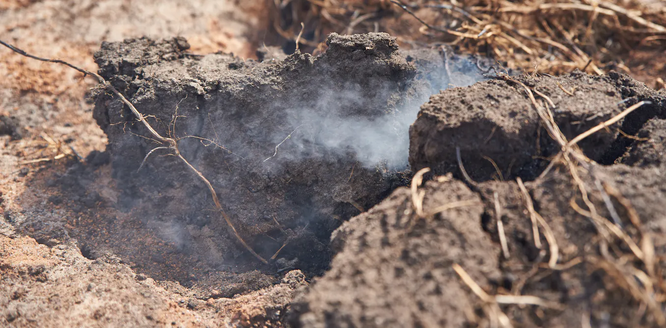 Fire can destroy peatlands. But in Australia, it can also help protect them Fire can destroy peatlands. But in Australia, it can also help protect them