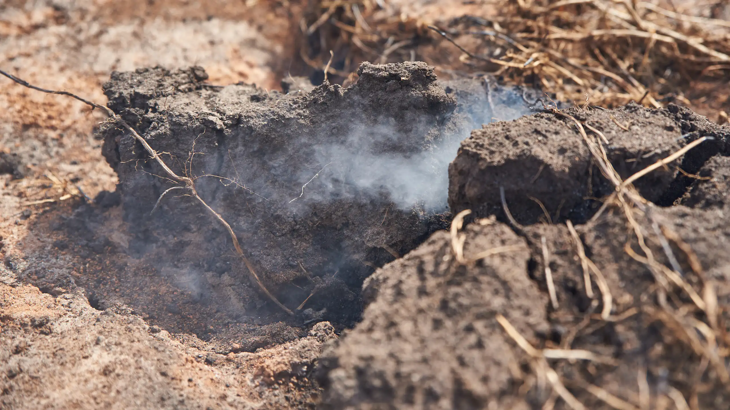 Smoke rises from a patch of burning peat.