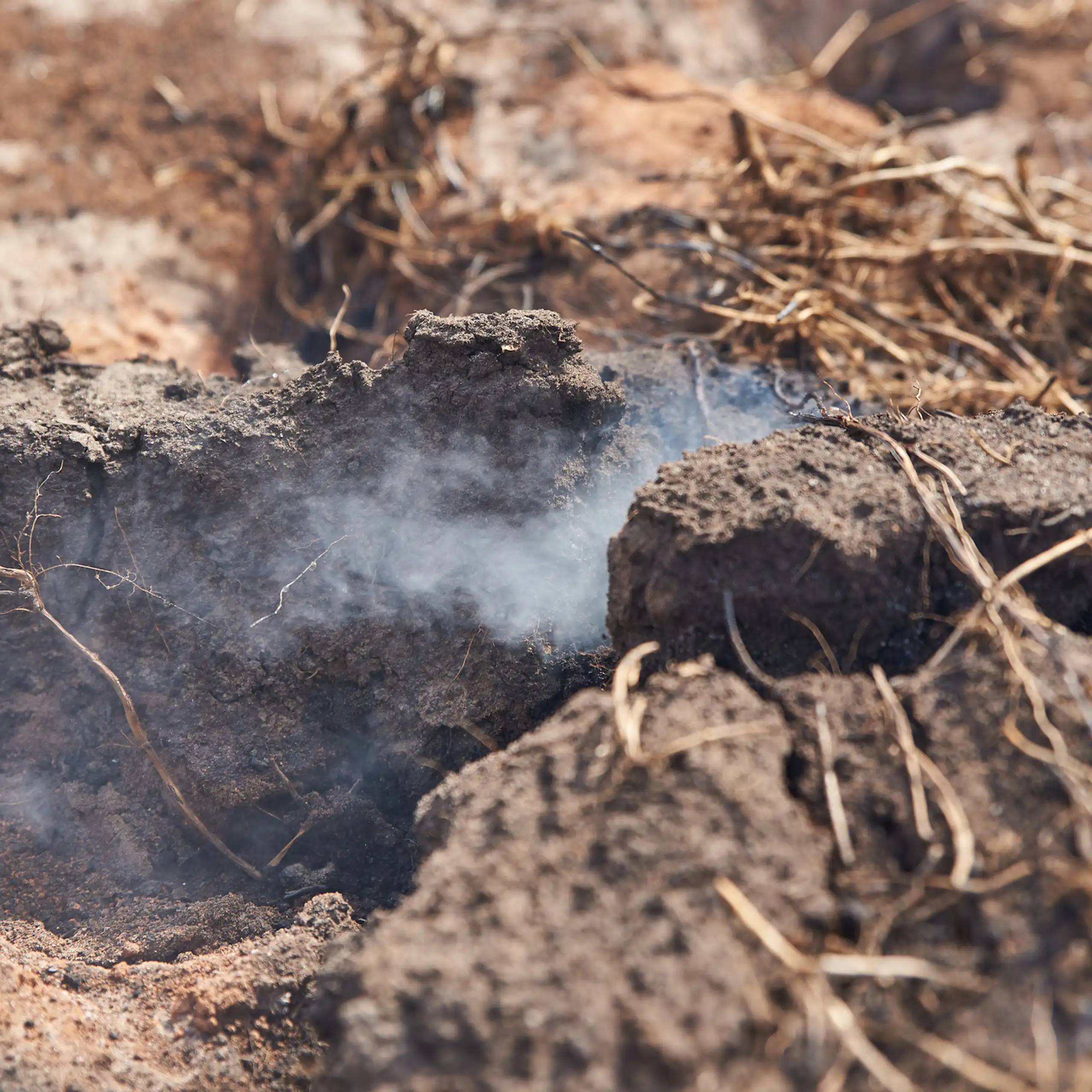 Smoke rises from a patch of burning peat.