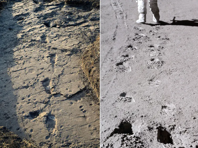 Eine verlassene SpaceX-Rakete steht kurz vor dem Absturz auf den Mond. Das eigentliche Problem kommt als nächstes. Eine verlassene SpaceX-Rakete steht kurz vor dem Absturz auf den Mond. Das eigentliche Problem kommt als nächstes.