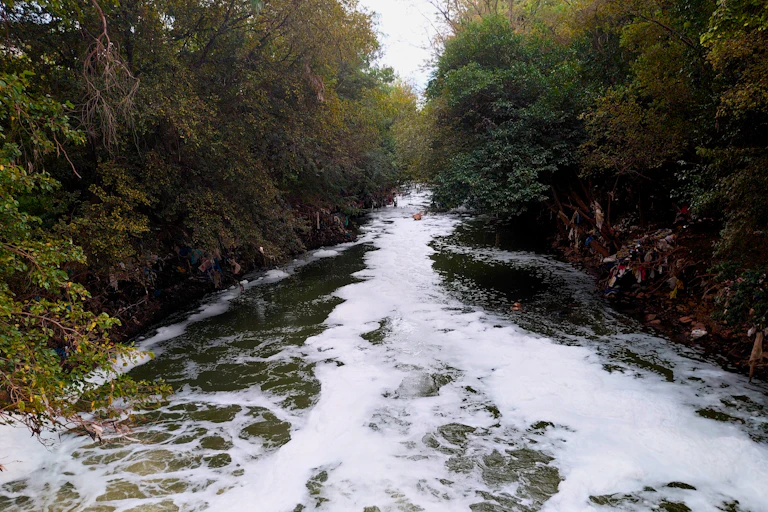 A river with foam on the water