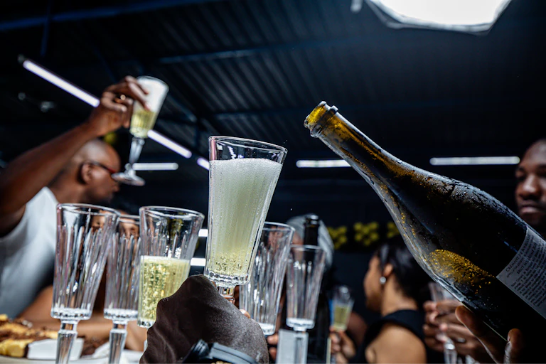 People toasting with wine