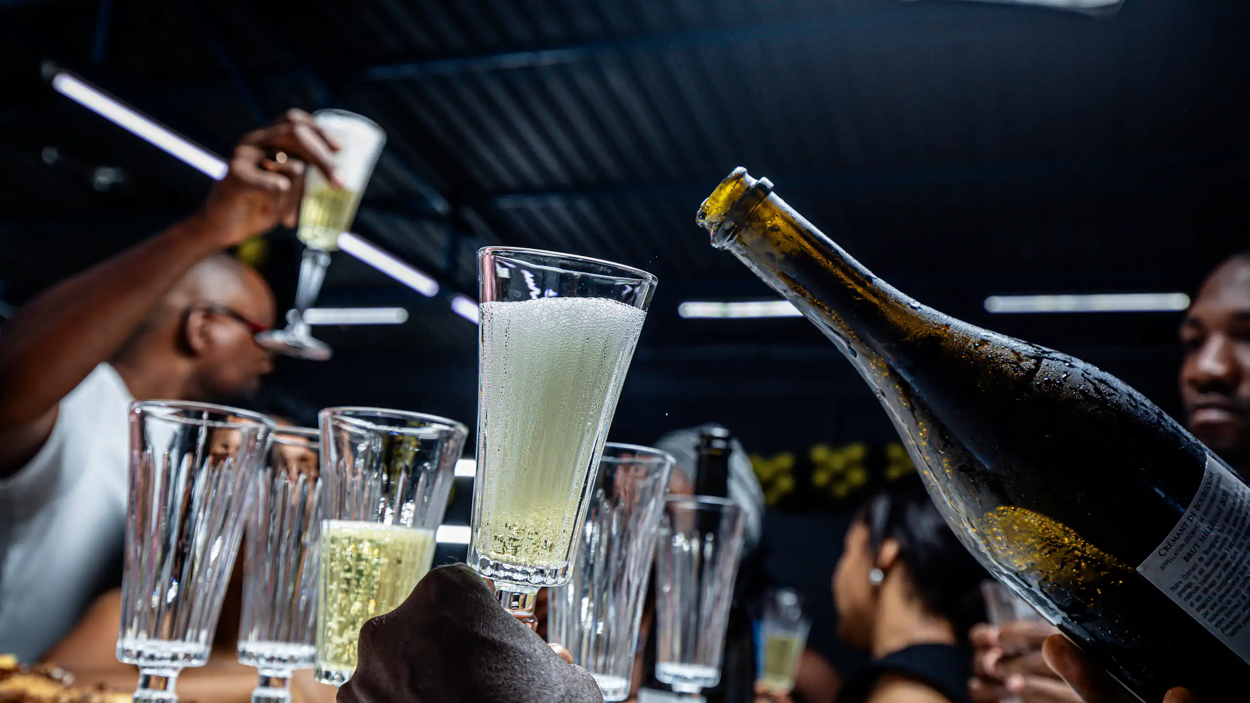 People toasting with wine