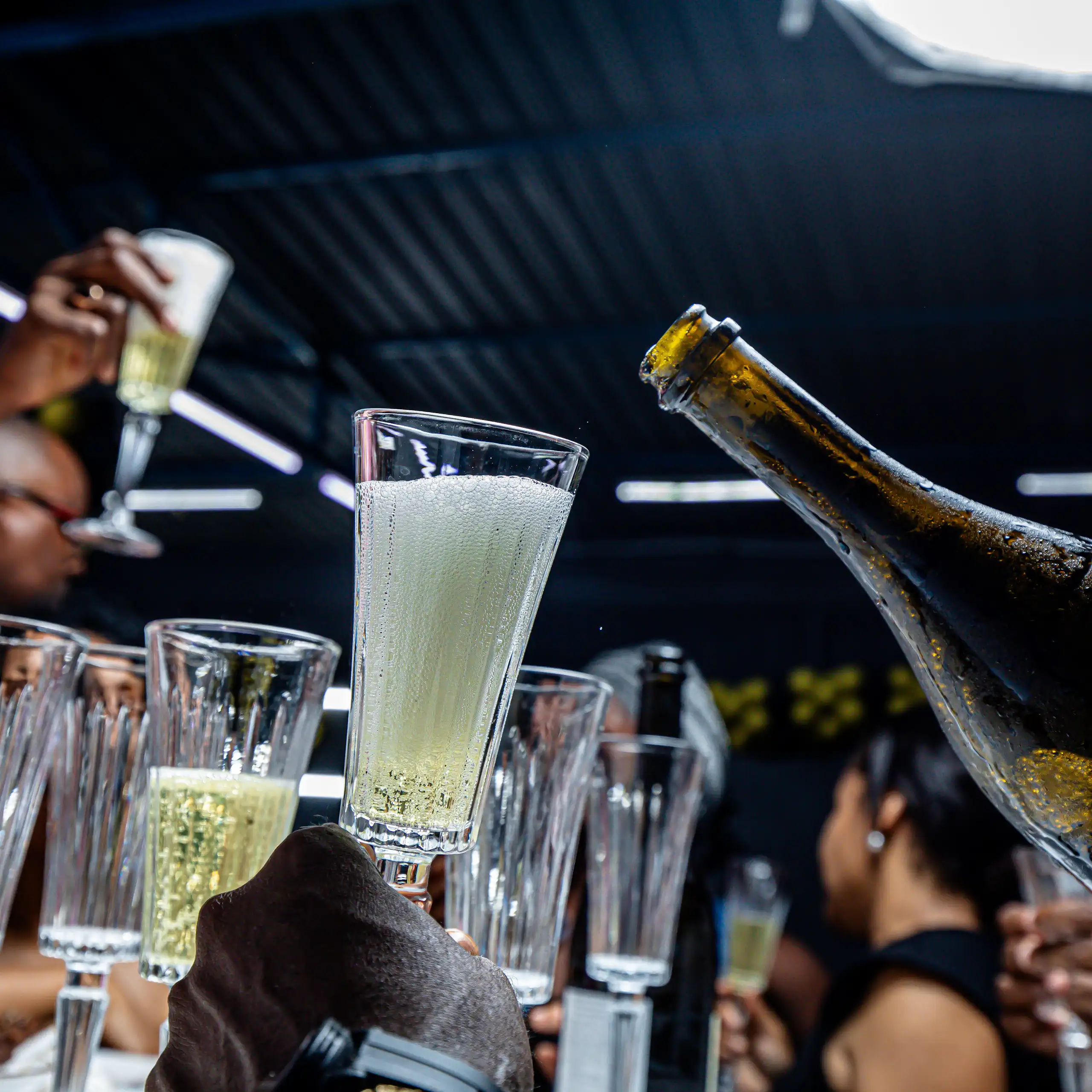 People toasting with wine
