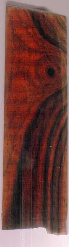 A close-up of a piece of wood shows its color and grain texture.