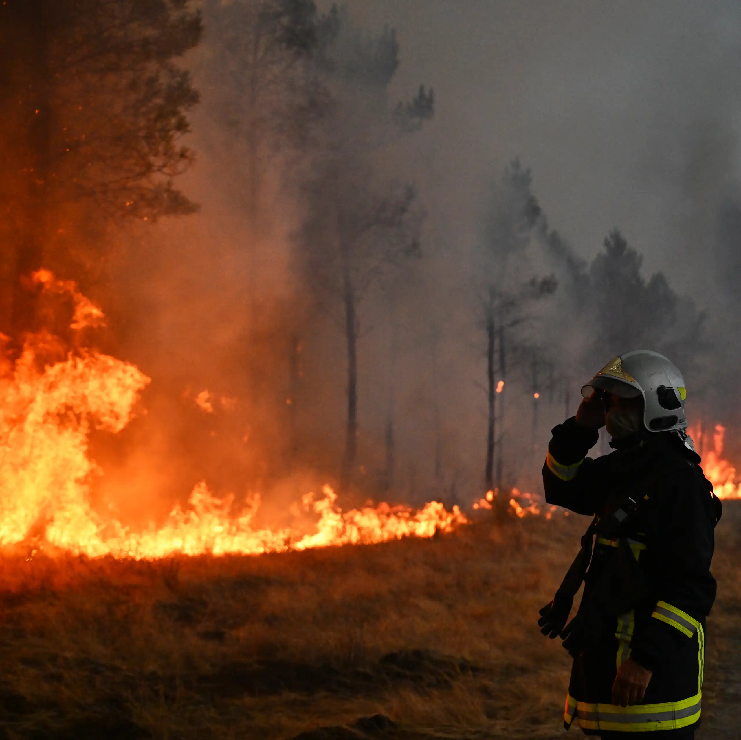 a firefighter stands near a wildfire among trees
