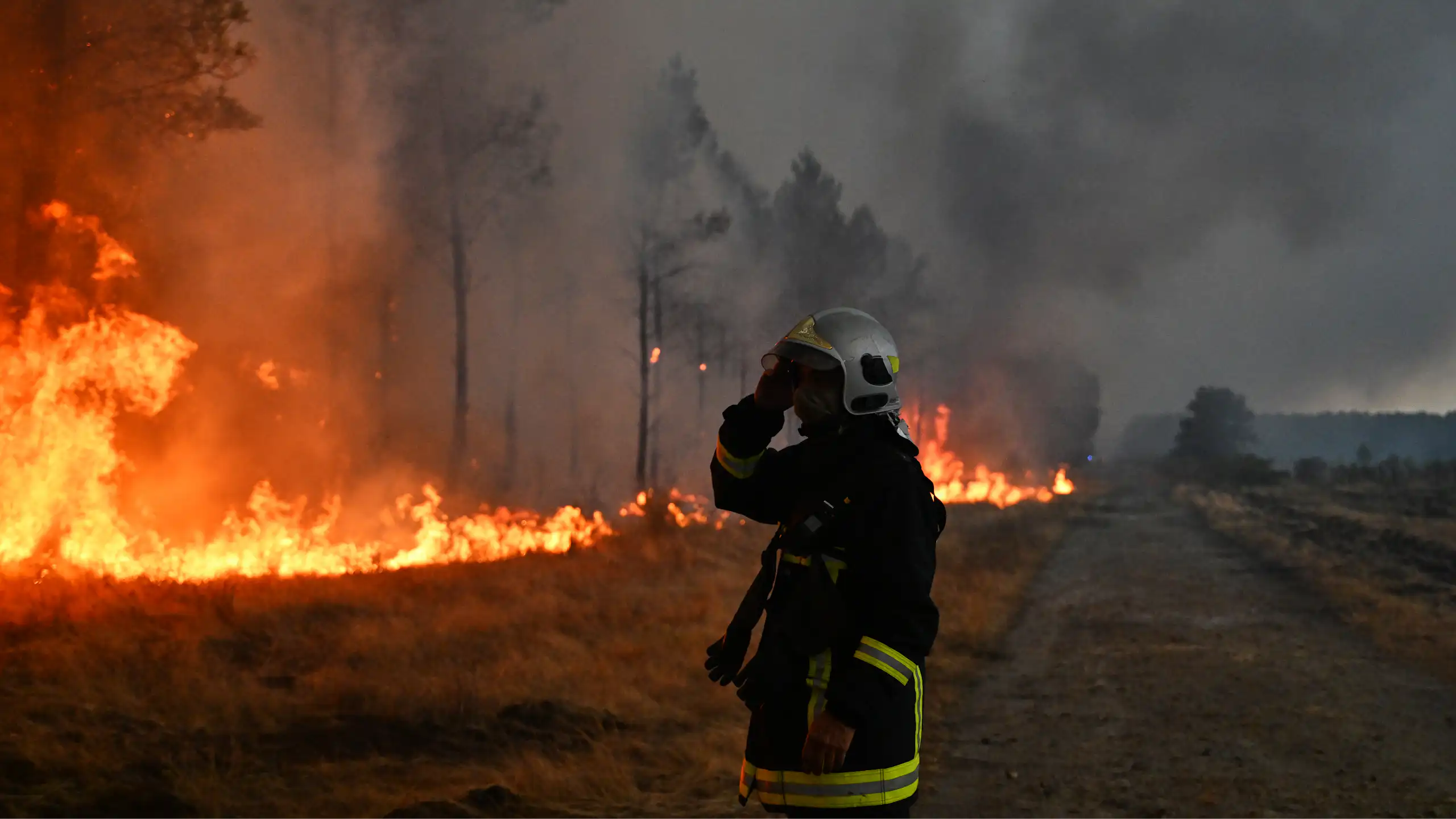 a firefighter stands near a wildfire among trees