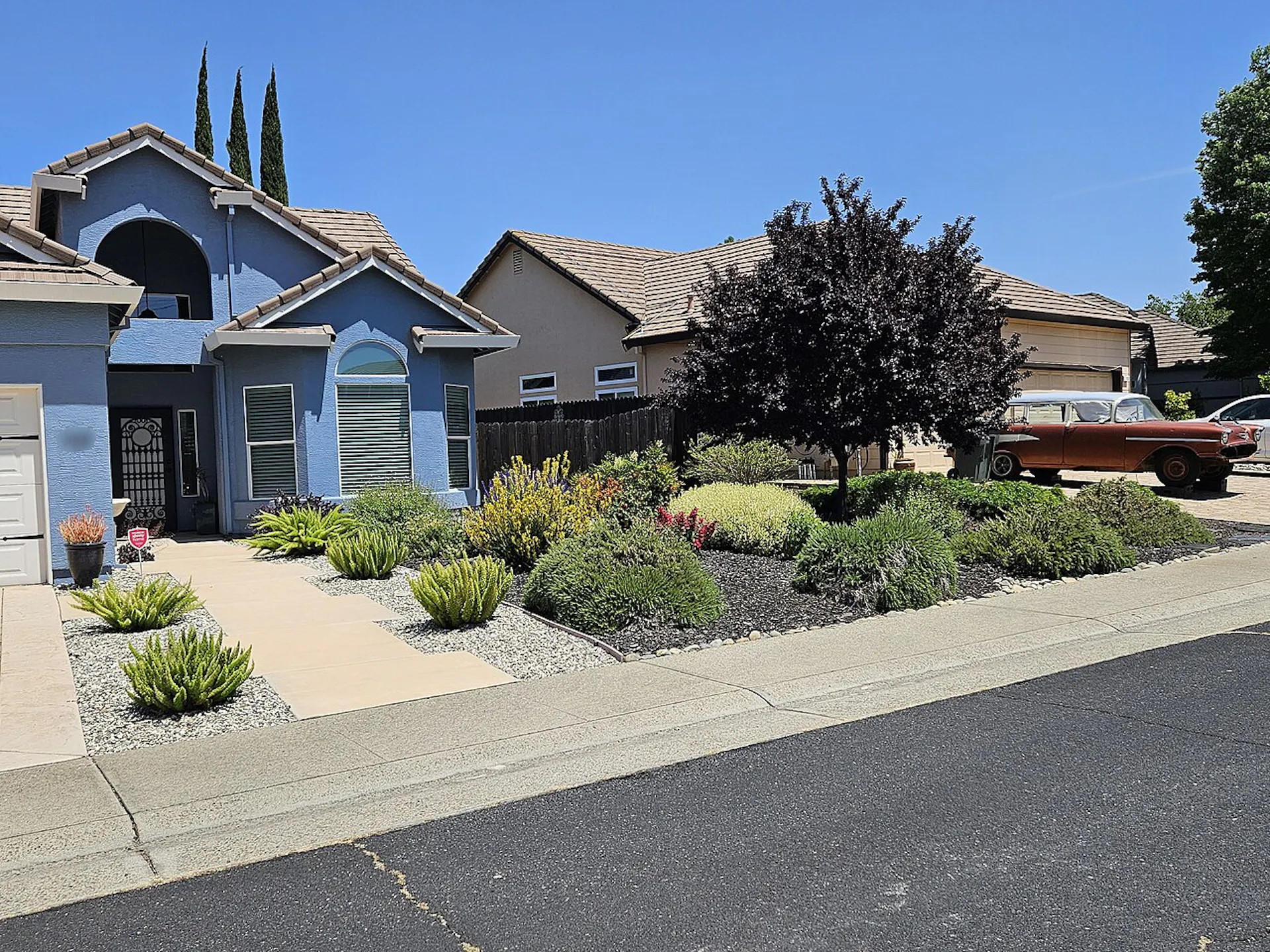 Two neighboring homes with native, drought-tolerant plants and no turf grass in the front yards.