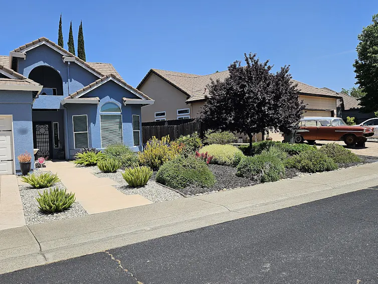 Two neighboring homes with native, drought-tolerant plants and no turf grass in the front yards.