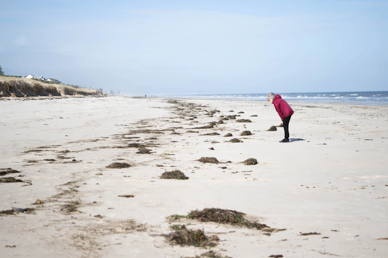 A member of the public stands on a beach in South Australia affected by the algal bloom.