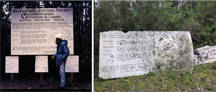 A historical photo of a sign in the forest shows where the forest project was established, contrasted with a contemporary photo.