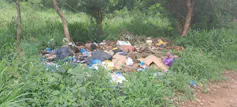 A piece of open land with trees where about 200 kilograms of garbage has been dumped