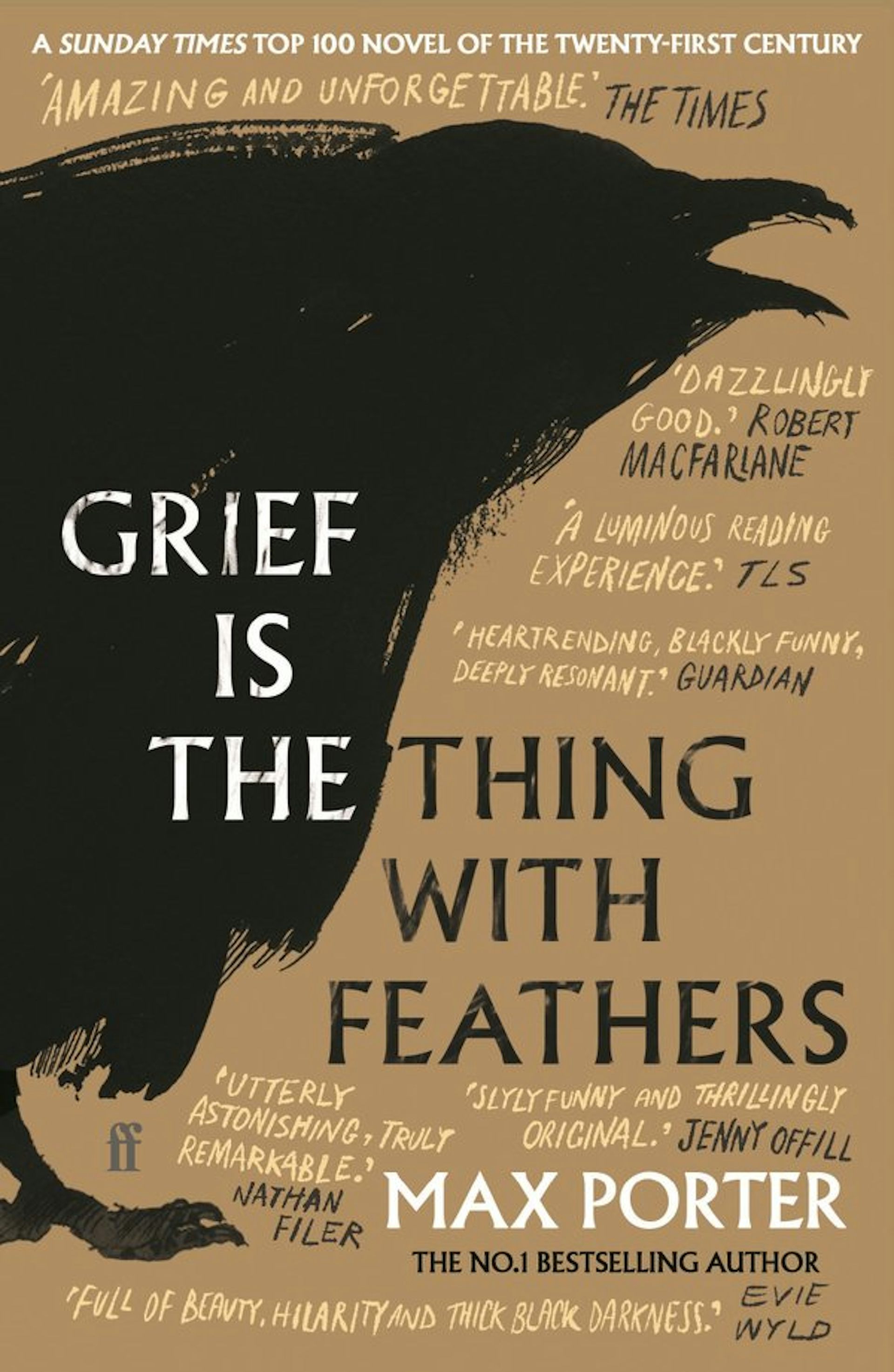 Grief Is the Thing with Feathers book jacket