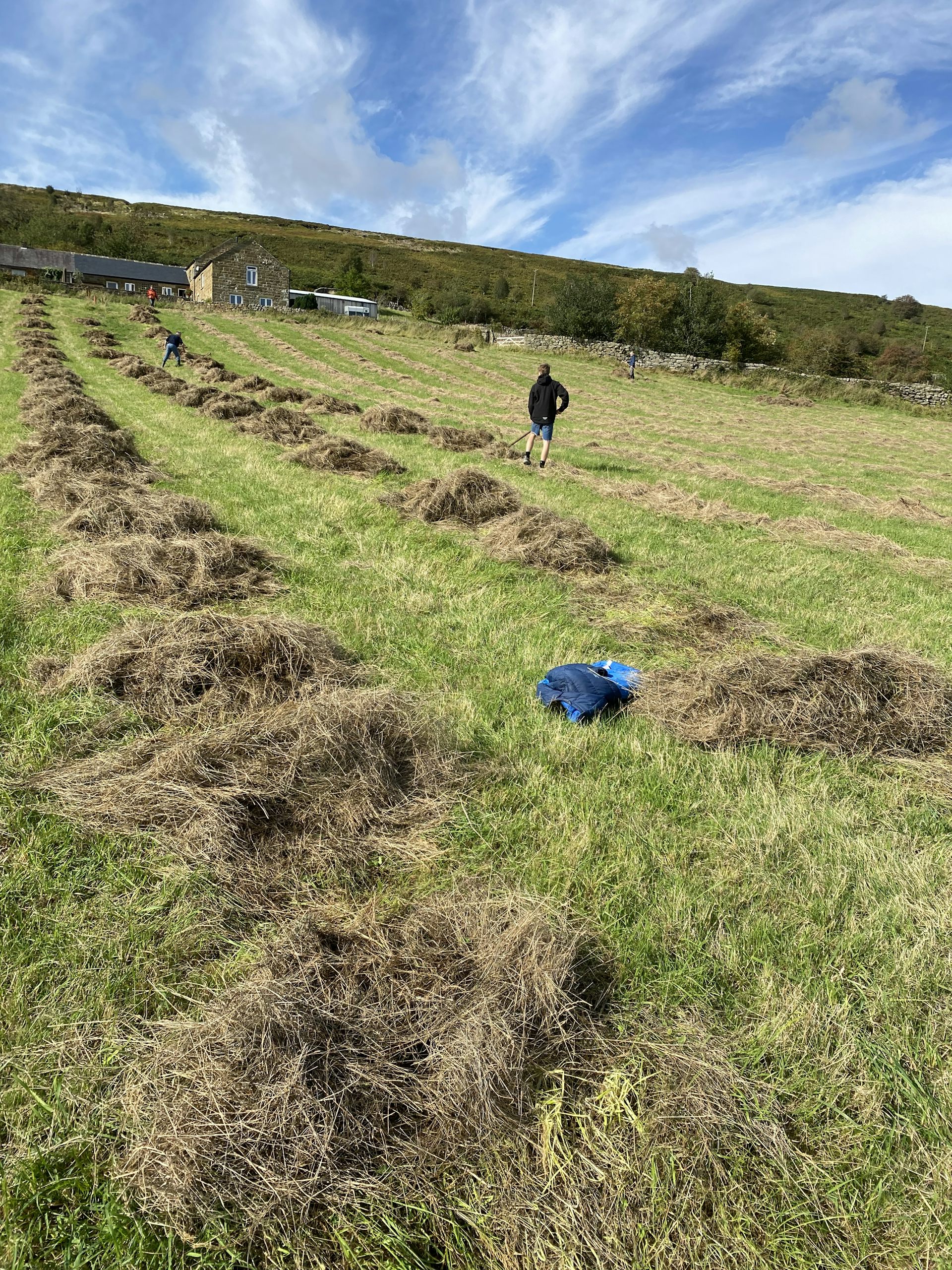 Man working in a field.