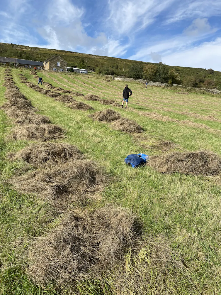 Man working in a field.