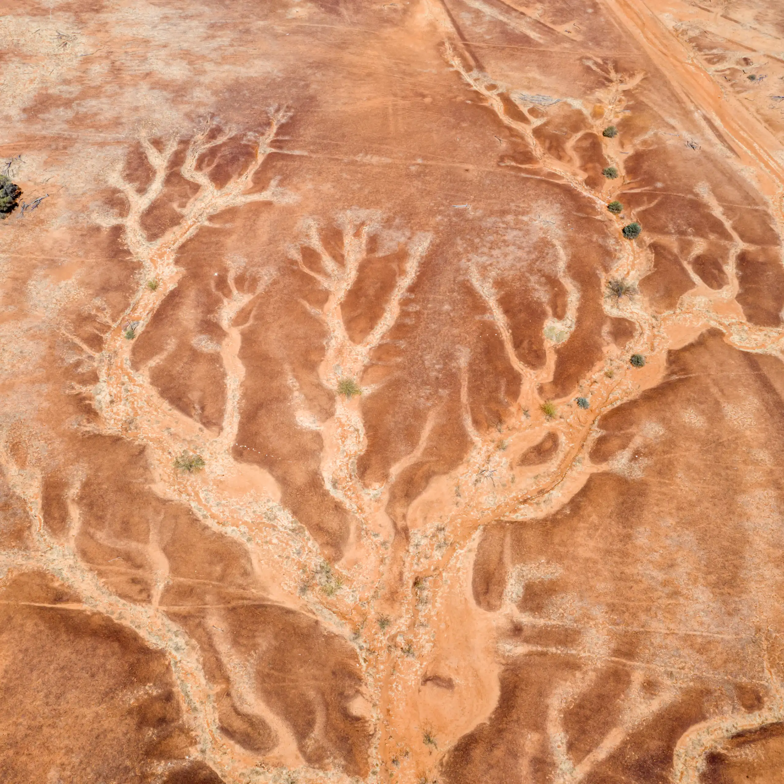 An aerial image of a dried creek bed in an arid landscape.