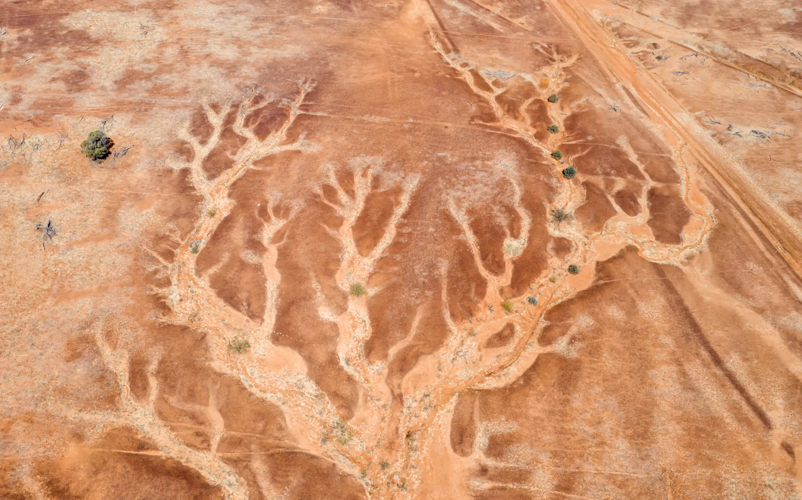 An aerial image of a dried creek bed in an arid landscape.