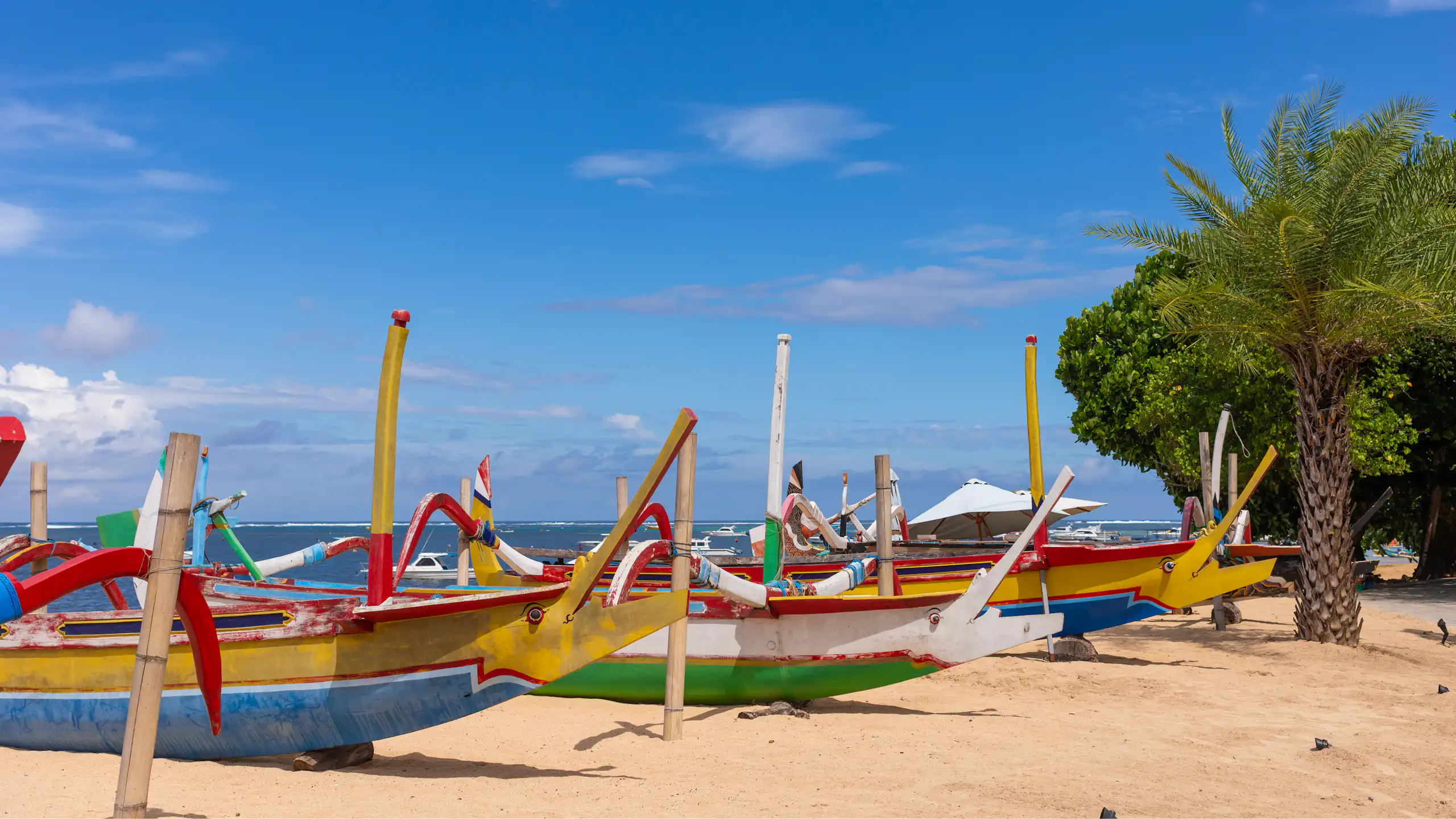 Traditional Balinese boats line a beach.