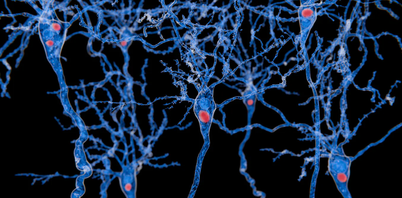 EnviroWireDaily — Foldable synthetic molecules could infiltrate and bust apart the toxic protein clumps causing Parkinson’s