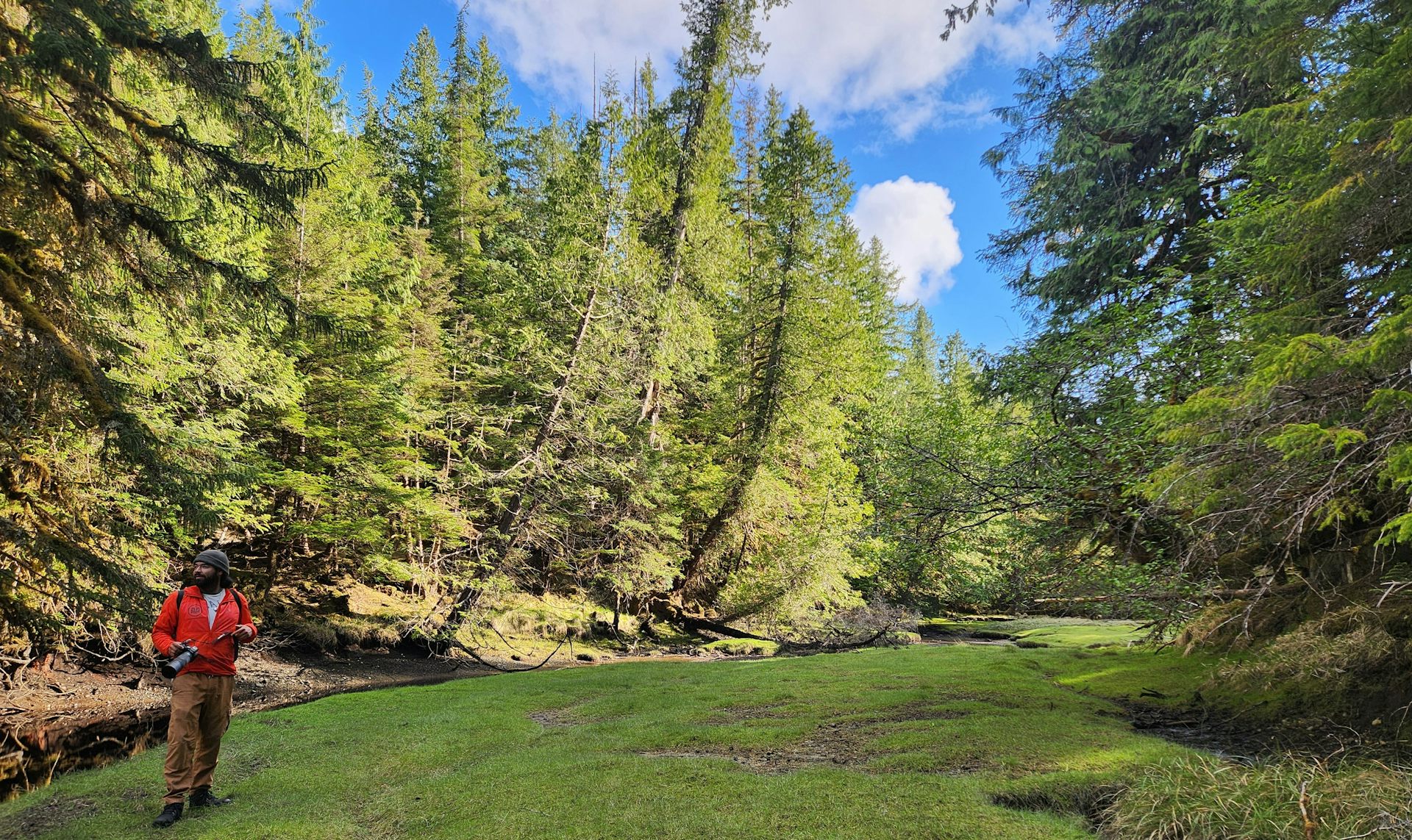 A man stands on grass surrounded by trees.