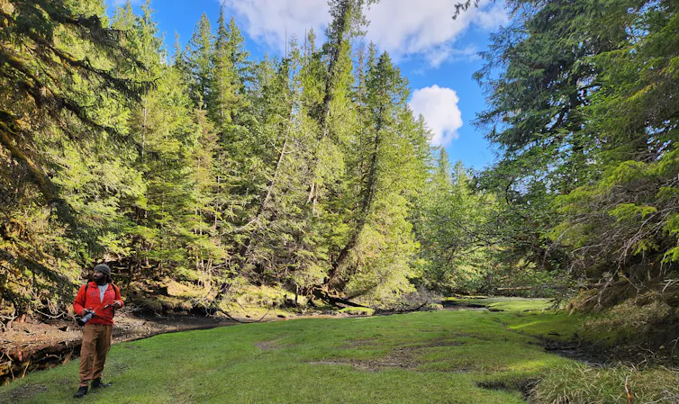 A man stands on grass surrounded by trees.