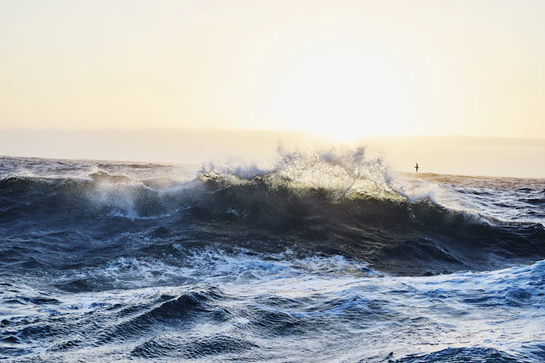 ocean wave breaking out at sea, strong sunlight behind.