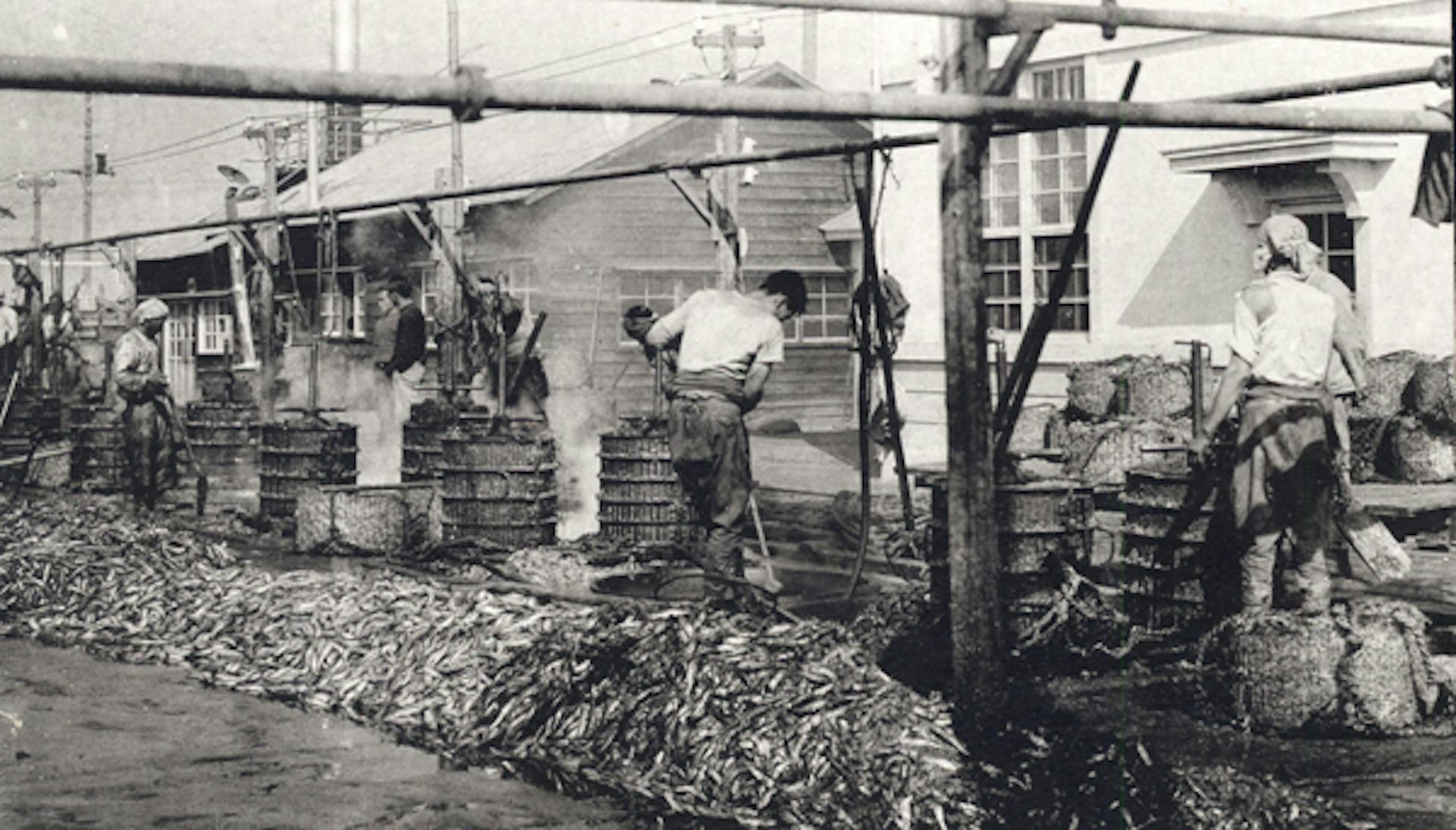 A black and white photo shows men working next to barrels.