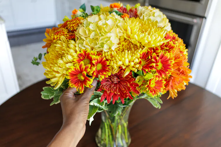 Hand arranging flowers in a vase on a table