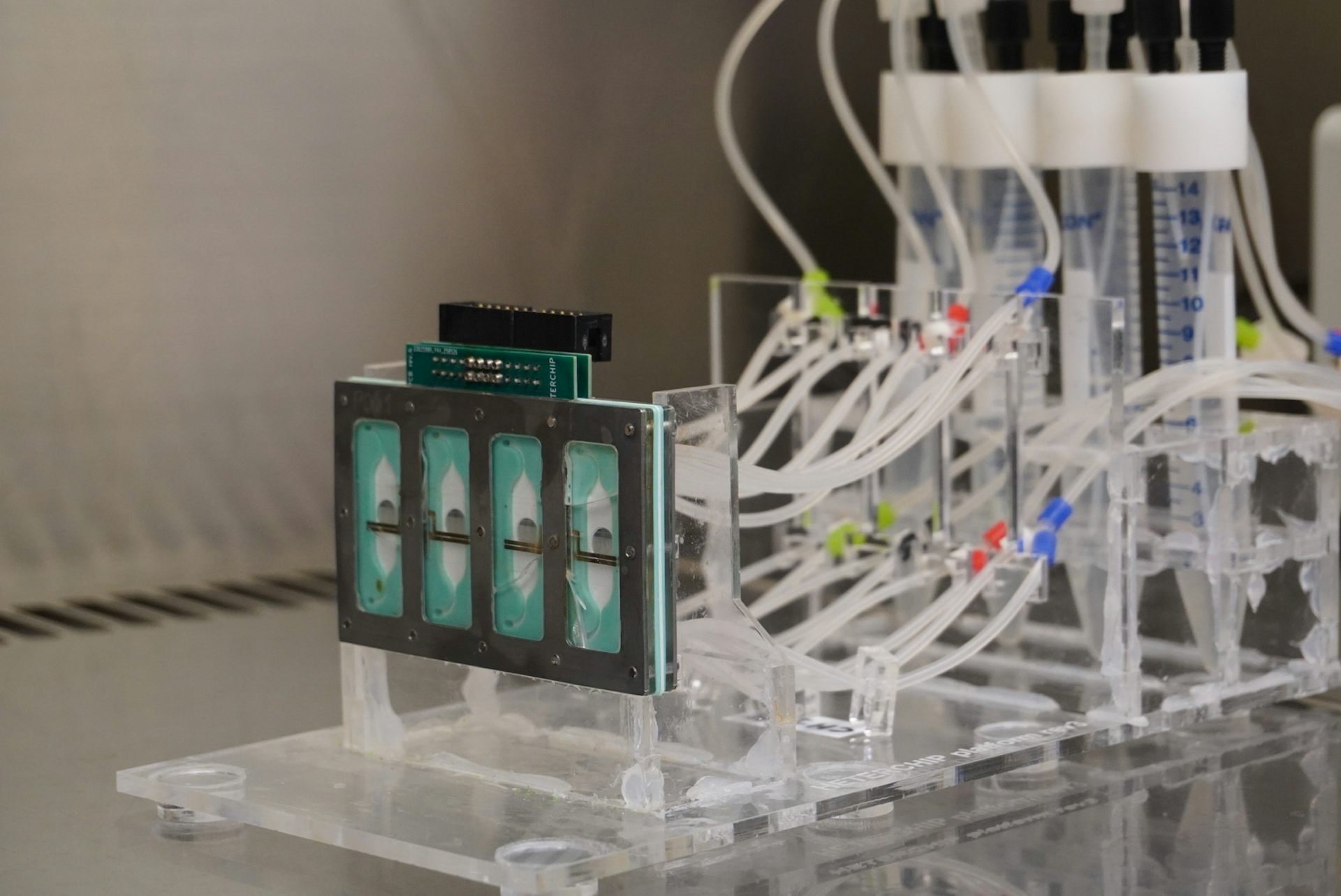Un corazón en un chip: órganos de laboratorio que se parecen cada vez más a los de verdad