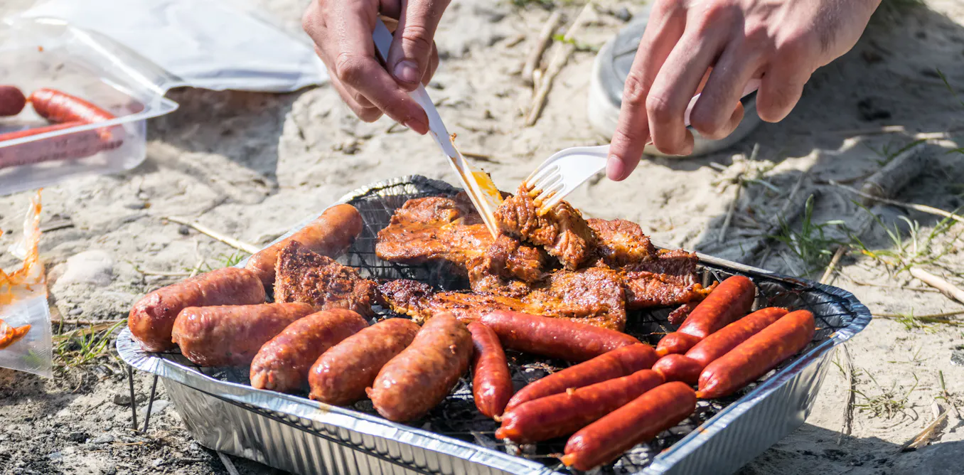 EnviroWireDaily — Wildfires: why disposable BBQs are being banned from some parks and beaches