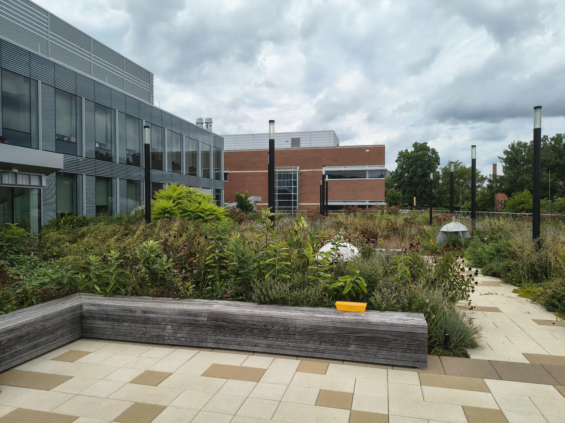 A rooftop with sections of wildflowers and other plants.