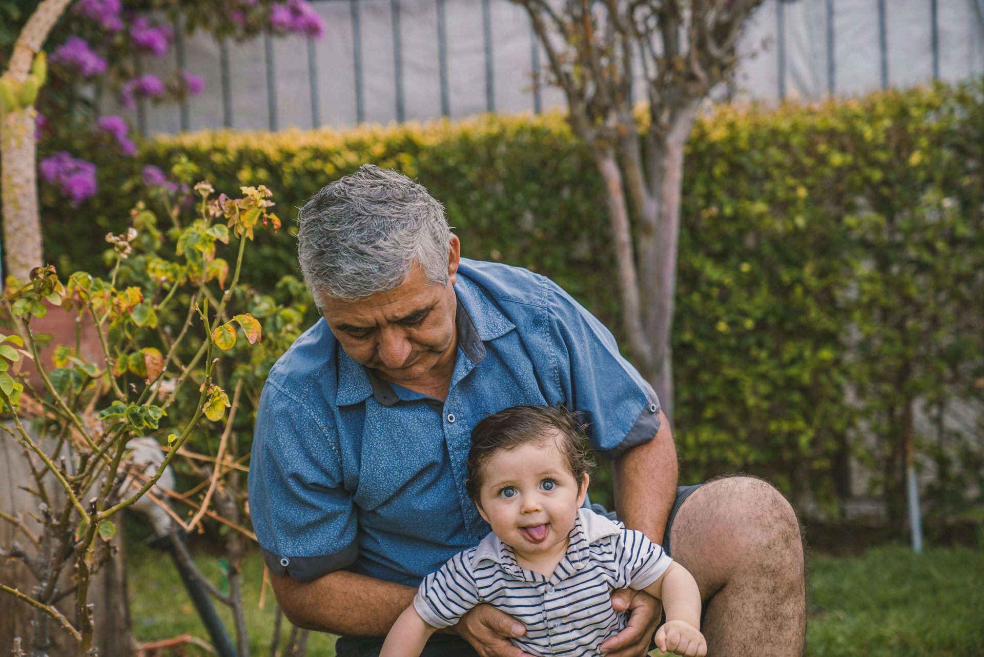 A man with grey hair in a blue shirt kneeling on the grass with a toddler who has his tongue out