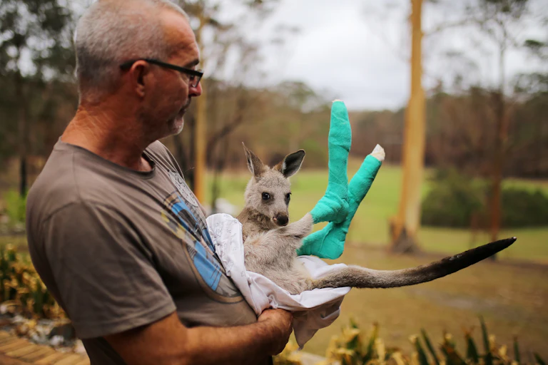 man holding Joey with green bandages on its feet.