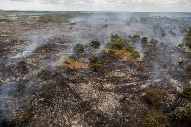 aerial shot of wildfire aftermath