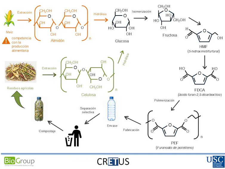 Esquema de la producción del bioplástico PEF desde el maíz