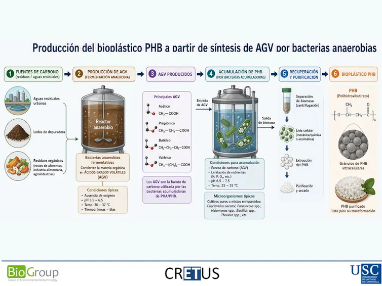 Esquema de síntesis de PHB por bacterias a partir de ácidos grasos volátiles obtenidos de aguas residuales o residuos
